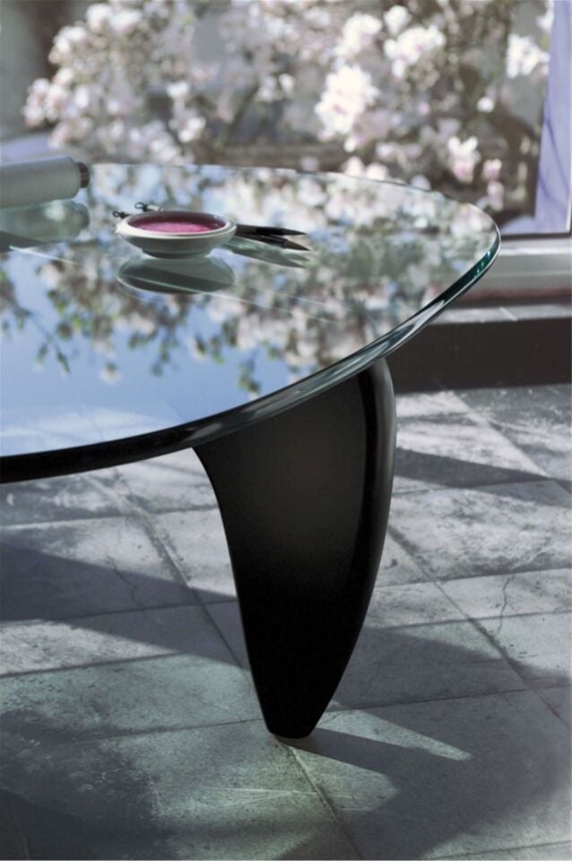 Noguchi insp Coffee Table