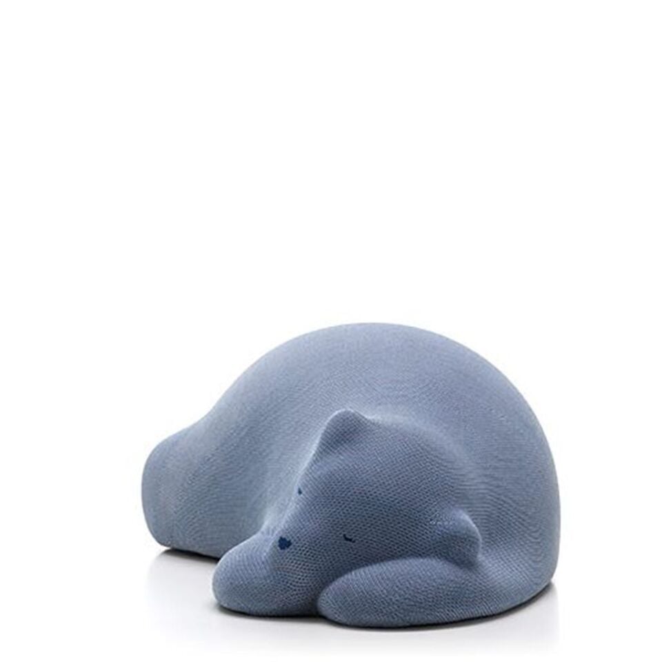 Front insp Resting Bear